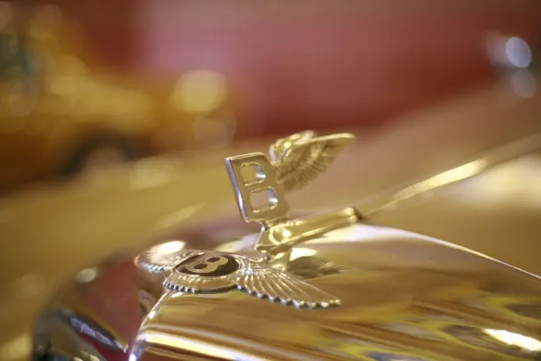 Casino Bet Winner Android/iOS-app